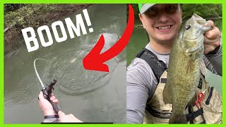 Green River KY SMALLMOUTH JUMPS OUT of water for lure Kayak Fishing Memorial Day [upl. by Bander]