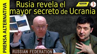 Nebenzia dijo dónde están las armas de Occidente [upl. by Ariana]