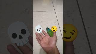 New baby adopted shortvideos viralvideos trending recommended lovebirds shorts phonk [upl. by Adnahsam]