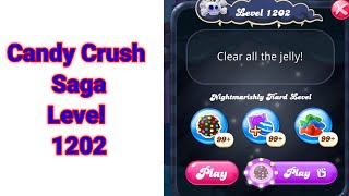 Candy Crush Saga Level 1202 [upl. by Einnoj]