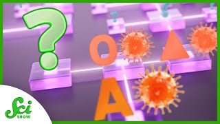 What Omicron Means for the Pandemic’s Future  SciShow News [upl. by Horten]