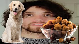 The UPDOG  GRABON Incident  Game Grumps clip [upl. by Trisa76]