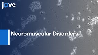 Fibroblasts Conversion to Myoblasts to Investigate Therapies for NMD  Protocol Preview [upl. by Peony]