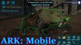 DOUBLE SABERTOOTH TAMING ANDROID NEWS Ark Mobile Episode 15 [upl. by Boggers343]