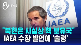 quot북한은 사실상 핵 보유국quot IAEA 수장 발언에 술렁  SBS 8뉴스 [upl. by Aivul]