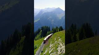 Schynige Platte cogwheel train swisstravels switzerland europetravel [upl. by Syck]