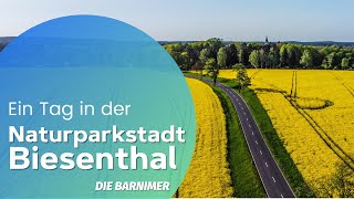 Biesenthal  Ein Tag in der Naturparkstadt im Barnim [upl. by Kilmarx]