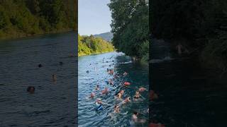 People swimming in the Aare River in Bern Switzerland Marzilibad shorts swimming switzerland [upl. by Camel]