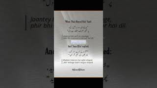 Tere Bin Kon Mera  viral poetry sayari shorts sad love youtubeshorts jonelia ahmadfaraz [upl. by Eillam]