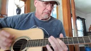 Pro guitarist compares Zager ZAD900E to Martin D28 [upl. by Nauqe]