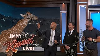 Adorable Baby Animals with Dave Salmoni amp KeeganMichael Key [upl. by Aissert]