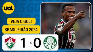 FLUMINENSE 1 X 0 PALMEIRAS  CAMPEONATO BRASILEIRO 2024 VEJA O GOL [upl. by Eilyab]