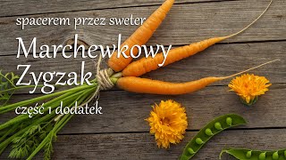 Wrześniowy Wielki Zygzak  cz 1 dodatek [upl. by Anelak]