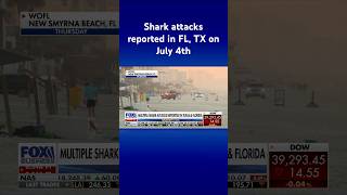 Fourth of July celebrations turned scary with shark attacks reported in FL TX shorts [upl. by Drawyeh480]