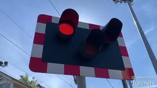 Car goes through the crossing while barrier go down  loads of misuse Highams Park Level Crossing [upl. by Cohby]