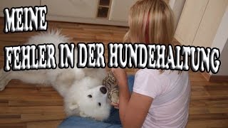 Meine eigenen Fehler mit Nero in der Hundeerziehung Welpenerziehung und Hundehaltung [upl. by Lraed]