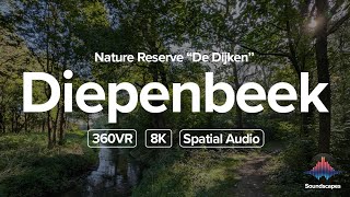 Nature Reserve  Diepenbeek  Belgium  Tranquil Nature Sounds  8K 360VR  Spatial Audio [upl. by Nomma502]