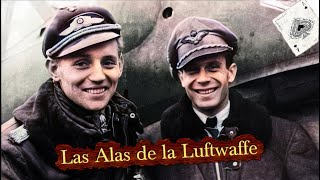 Los 5 Pilotos Más Letales de la Luftwaffe Los Mayores Ases de la Historia [upl. by Fornof]