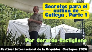 Secretos para el Cultivo de orquídea catleya parte 1 Gerardo Castiglione [upl. by Keyser]