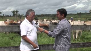 Maranhão Rural visita fazenda Sansapé em Penalva  MA [upl. by Rusel]