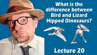 What is the difference between bird and lizard hipped dinosaurs [upl. by Zilevi]