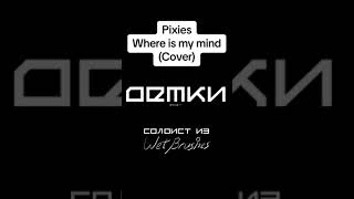 Pixies  Where is My Mind cover [upl. by Alenas39]