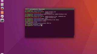 Linux Basics How to Copy Files and Directories [upl. by Yesnek]