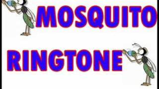 Mosquito Ringtone The One Teachers Cant Hear [upl. by Sutelc]