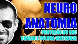 Proteção do Sistema Nervoso Central Crânio e Coluna Vertebral  Neuroanatomia  Vídeo Aula 076 [upl. by Ledoux]