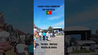 Torreira Murtosa  Portugal [upl. by Aisayn]