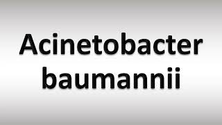 How to Pronounce Acinetobacter baumannii [upl. by Teerprah]