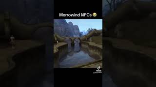 Morrowind npcs where unhinged theelderscrolls [upl. by Cochard]