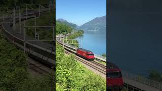 Swiss IC3 on its way to Chur ib Sandwich with 2 Re460 train sbb [upl. by Drewett]