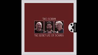 Trio Sordini  The Secret Life Of Sounds 2024 [upl. by Odilo]