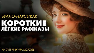 Буало Нарсежак  Короткие рассказы Часть 1  Лучшие Аудиокниги читает Никита Король [upl. by Publia982]