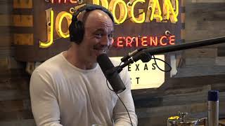 Joe Rogan Experience 1683  Andrew Huberman [upl. by Prager387]