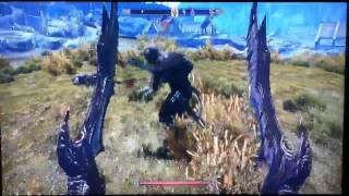 Skyrim How to do a Finishing Move every time [upl. by Latsyrhc]