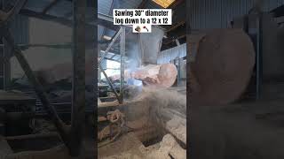 Sawing 30” diameter log [upl. by Gilson]