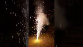 🎇🎆🧨😂😆😆😁happydiwali trendingshortsdewali2024vira bollywood song [upl. by Niliram459]