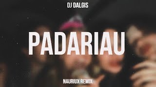 Dj Dalgis  Padariau  NAURIUX REMIX [upl. by Onitselec]