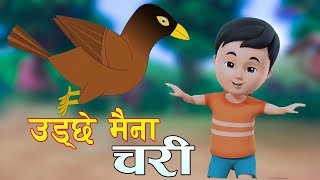 उड्ने मैना चरी  Udne Maina Chari  Nepali Rhymes  Kids Song  बाल गीत [upl. by Cathey700]