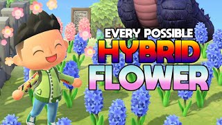 ALL HYBRID FLOWERS in Animal Crossing New Horizons and HOW TO GET THEM  Hybrid Breeding Guide [upl. by Emelun105]