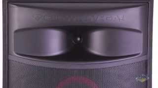 Cerwin Vega XLS215 Passive Tower Speaker  Cerwin Vega XLS 215 [upl. by Bijan]