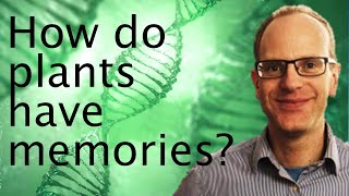 Plant epigenetics do plants have a memory  Martin Howard 🧬🌱 [upl. by Ollecram]