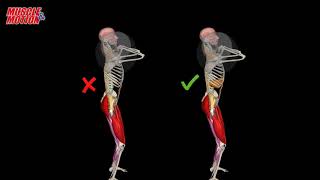 How To Do Barbell Thrusters  Common Mistake [upl. by Ailuig595]