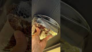 Gasoline vs Wasps How to End a Deadly Nest insects wasps [upl. by Diarmid525]