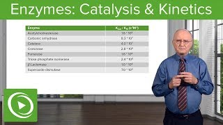 Enzymes Catalysis Kinetics amp Classification – Biochemistry  Lecturio [upl. by Damien]