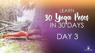 Day 3  Chaturanga Dandasana  30 Pose Journey [upl. by Zalea872]