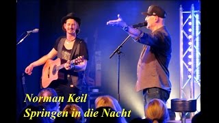 Wingenfelder feat Norman Keil  Springen in die Nacht  live in Wolfsburg 27022016 [upl. by Neemsay820]