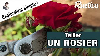 Comment tailler un rosier simplement [upl. by Sophie]